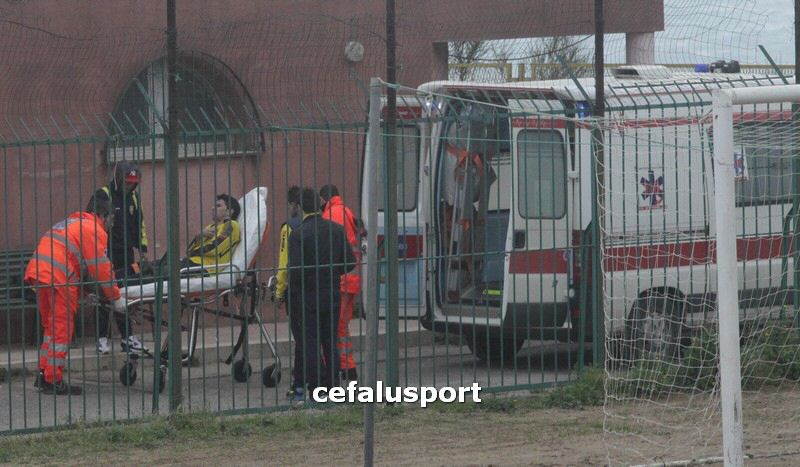 120310 stefanese 291y_tn.jpg